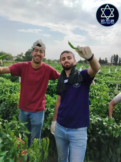 מתנדבינו בחקלאות - תמונה 3 מתוך 12