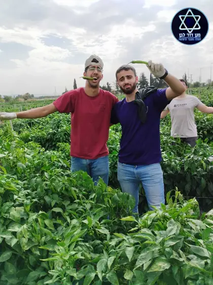 מתנדבינו בחקלאות - תמונה 4 מתוך 12