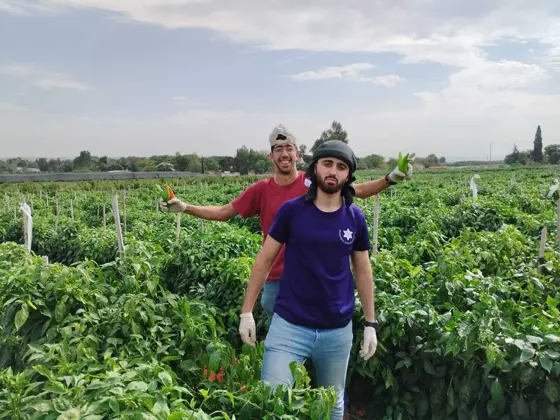 מתנדבינו בחקלאות - תמונה 8 מתוך 12